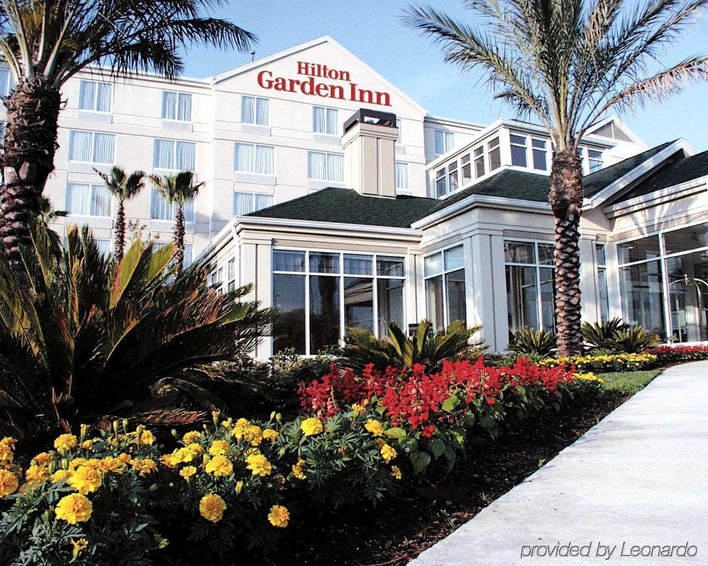 Hilton Garden Inn New Braunfels Εξωτερικό φωτογραφία